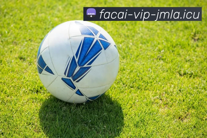 MK体育平台生态图