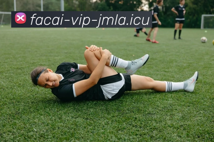 MK体育APP 封面图